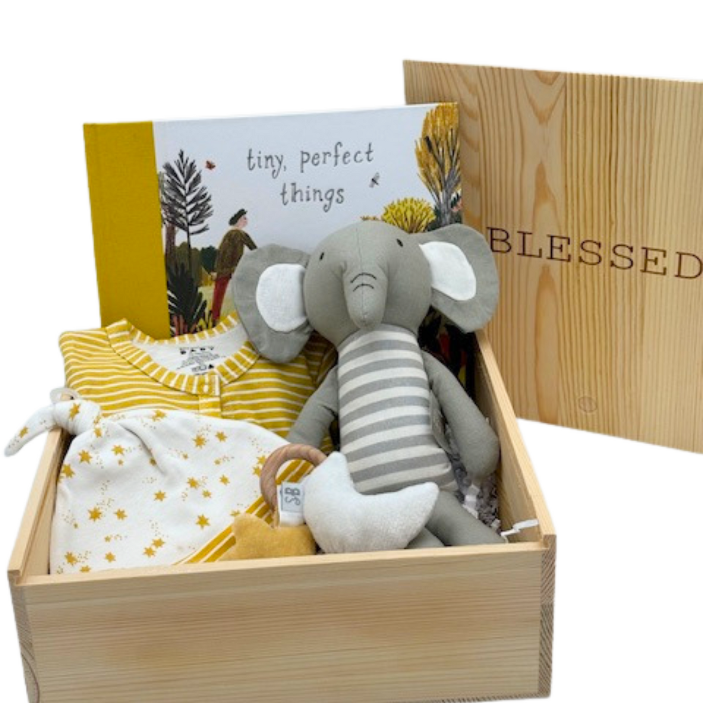 Gender-Neutral Baby Gift Set